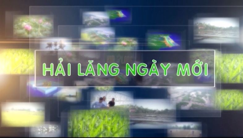 Hải Lăng ngày mới (02.05.2025)